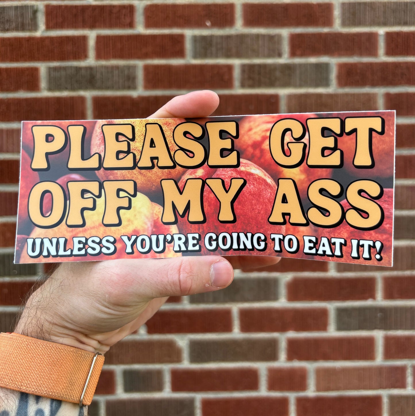 Please get off my ass bumper sticker